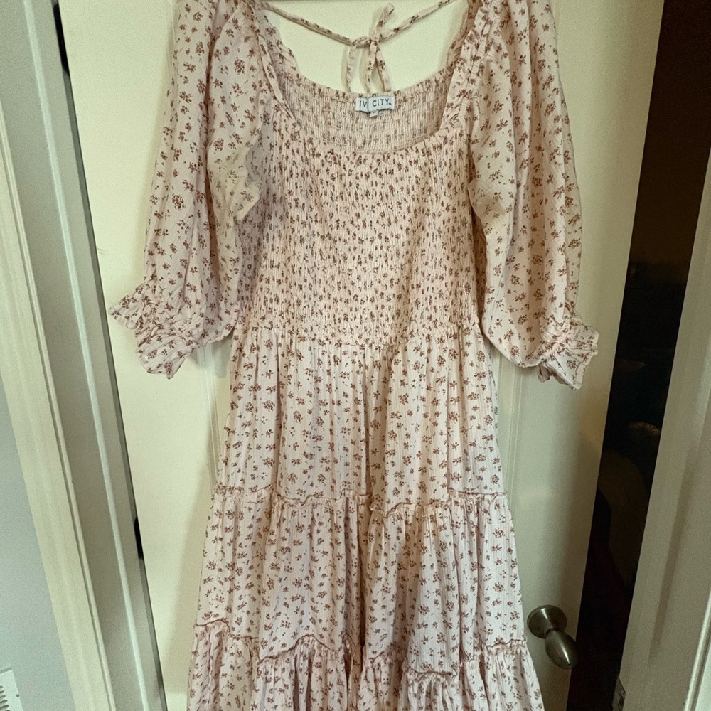 Ivy City Dress 1x